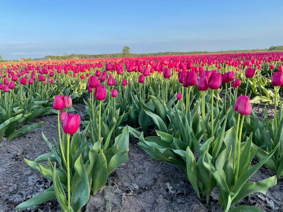 Luxe Vakantiehuis Met Prive Wellness Zuidwolde  Bagian luar foto